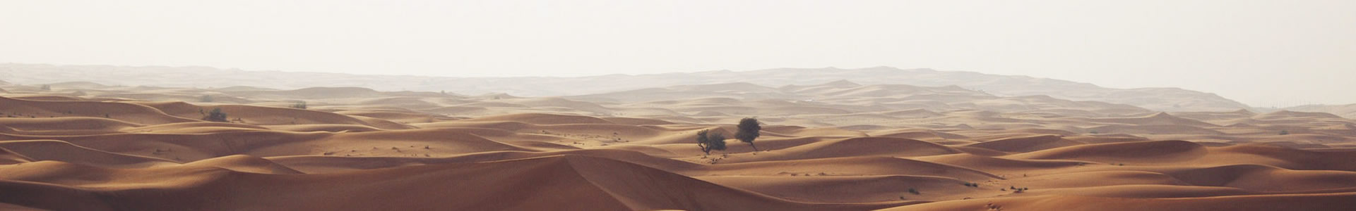 ܵƼ޹˾